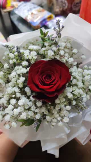 God's Divine Timing / 上帝的安排